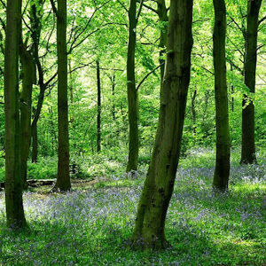 Meet your Posher, Artemis